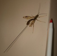 /album/kepgaleria-foto-galeria-1/a5-jpg/